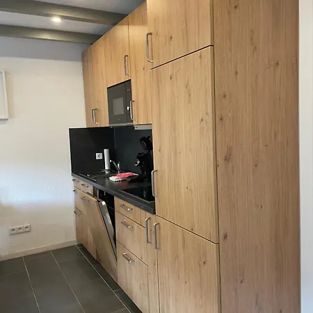 Haus Am Sonnenberg,todtnauberg, 305, Direkt Am Skilift-skipiste, Naehe Feldberg Тодтнауберг