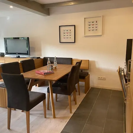 Haus Am Sonnenberg,todtnauberg, 305, Direkt Am Skilift-skipiste, Naehe Feldberg Apartament